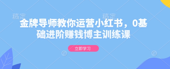金牌导师教你运营小红书，0基础进阶赚钱博主训练课-新时光资源网