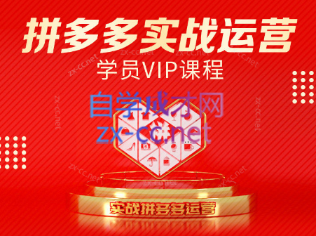 推易电商·拼多多实战运营课(更新2025月)-新时光资源网