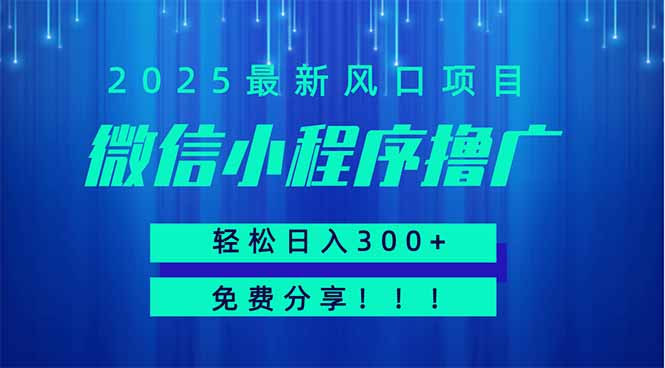 微信小程序撸广，最新风口项目，日入300+ 免费分享 可批量操作 小白可…-新时光资源网