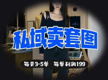私域卖套图每天3-5单，每单利润99-新时光资源网