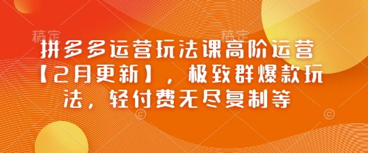 拼多多运营玩法课高阶运营【2月更新】，极致群爆款玩法，轻付费无尽复制等-新时光资源网