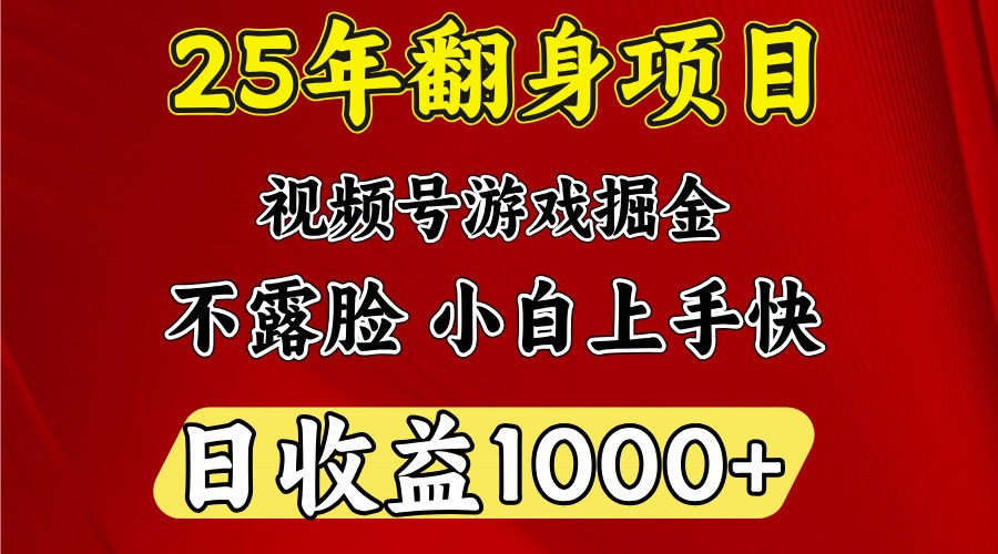 一天收益1000+ 25年开年落地好项目-新时光资源网