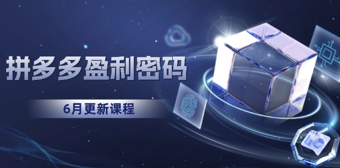拼多多盈利密码：从烧钱推广到印钞模型，底层逻辑重构指南(6月更新-新时光资源网