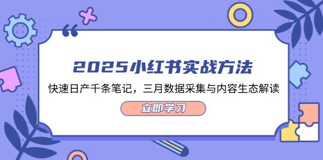 2025小红书实战方法，快速日产千条笔记，三月数据采集与内容生态解读-新时光资源网