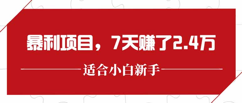 最新暴利项目，每单收益轻松在300以上，7天赚了2.4万-新时光资源网