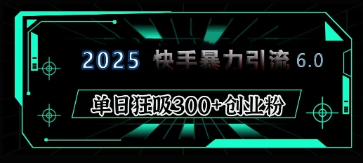 2025年快手6.0保姆级教程震撼来袭，单日狂吸300+精准创业粉-新时光资源网