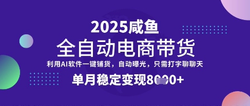 全网首发【闲鱼全自动电商带货】三年磨一剑，一朝露锋芒，单月稳定变现8k+【揭秘】-新时光资源网