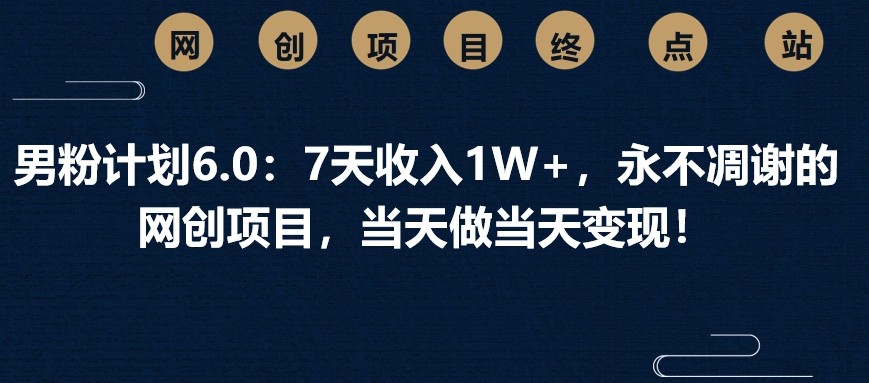男粉计划6.0：7天收入1W+，永不凋谢的网创项目，当天做当天变现！-新时光资源网