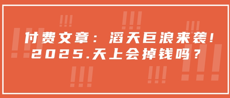 付费文章：滔天巨浪来袭！2025天上会掉钱吗？-新时光资源网