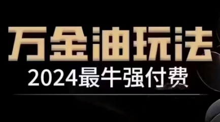 2024最牛强付费，万金油强付费玩法，干货满满，全程实操起飞(更新25年04月)-新时光资源网