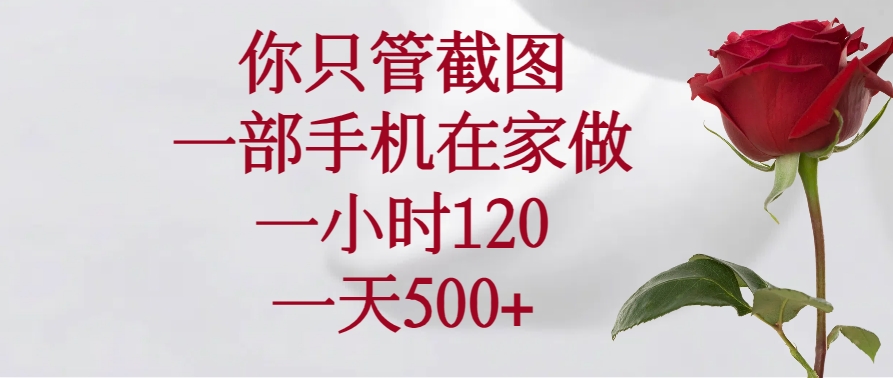 你只管截图，一部手机在家做，一小时120，一天500+-新时光资源网