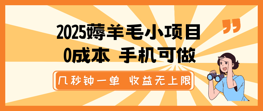 2025薅羊毛小项目，0成本 手机可做，几秒钟一单，收益无上限-新时光资源网