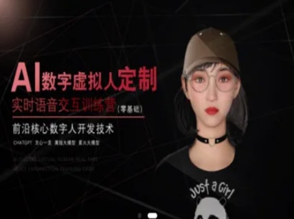 AI数字虚拟人定制，实时语音交互训练营(零基础)，前沿核心数字人开发技术-新时光资源网