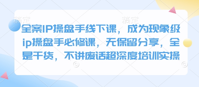 全案IP操盘手线下课，成为现象级ip操盘手必修课，无保留分享，全是干货，不讲废话超深度培训实操-新时光资源网