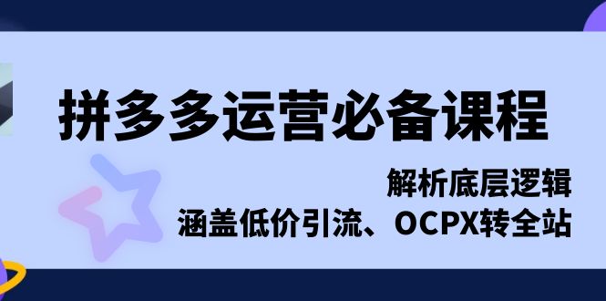 拼多多运营必备课程，解析底层逻辑，涵盖低价引流、OCPX转全站-新时光资源网