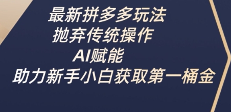 最新拼多多玩法，抛弃传统操作，AI赋能，助力新手小白获取第一桶金-新时光资源网