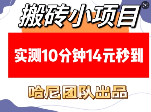 搬砖小项目，实测10分钟14元秒到，每天稳定几张(赠送必看稳定)-新时光资源网