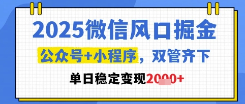 2025微信风口掘金，公众号+小程序双管齐下，单日稳定变现1k+【揭秘】-新时光资源网