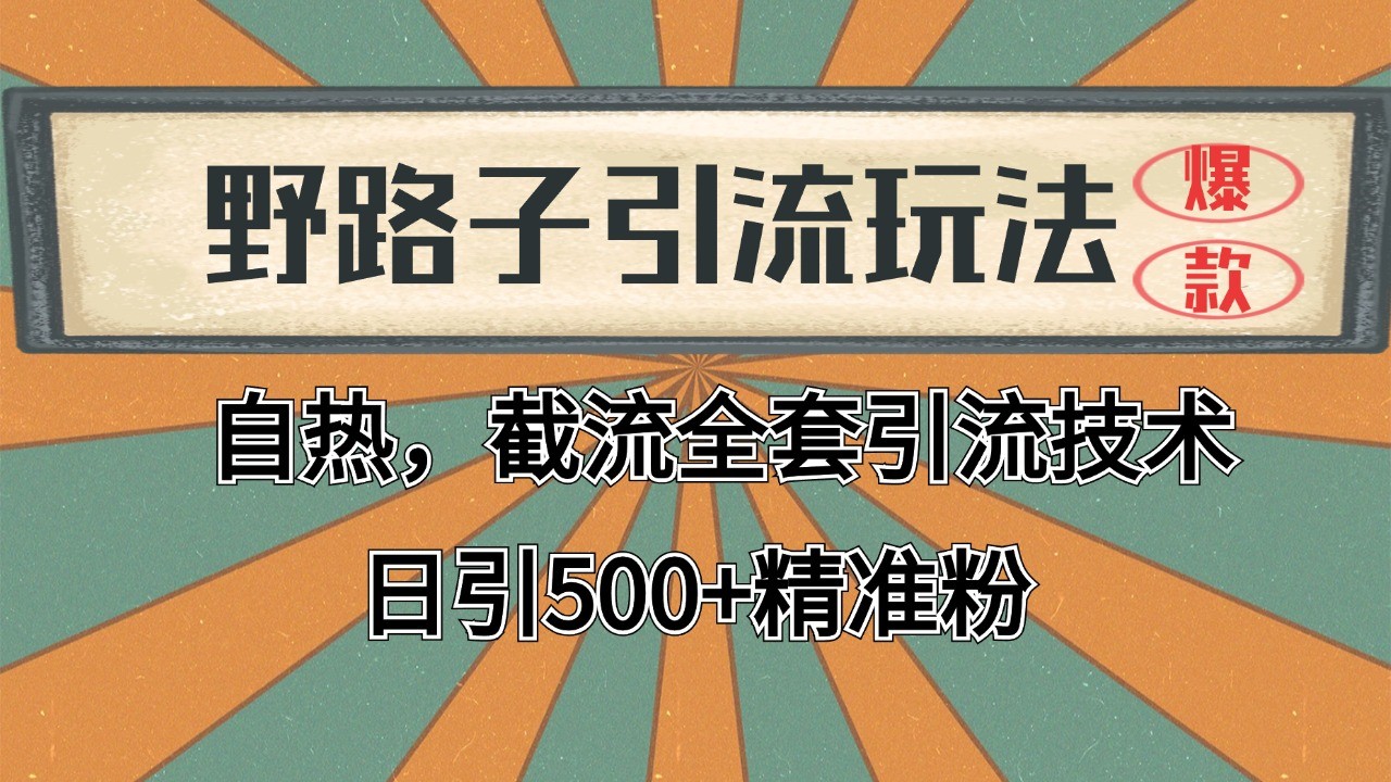 2024首发野路子引流玩法截流自热全平台打法，全自动引流【日引2000+精准客户】-新时光资源网