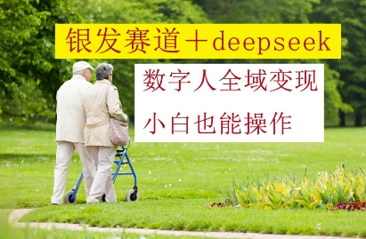 银发赛道+deepseek数字人全域变现，小白也能操作-新时光资源网