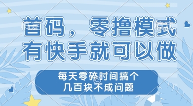 首码零撸项目，有快手就可以做，每天业务时间搞个几张不是问题【揭秘】-新时光资源网