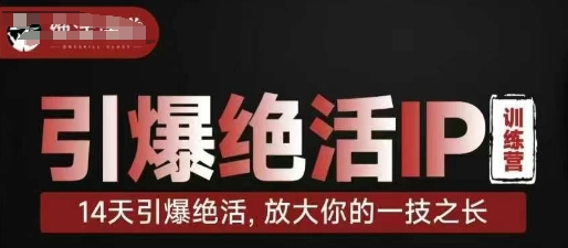 引爆绝活IP训练营，14天引爆绝活，放大你的一技之长-新时光资源网