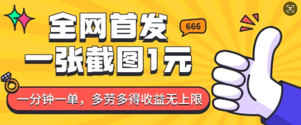 全网首发，一张截图1块钱，一分钟一单，多劳多得，收益无上限-新时光资源网