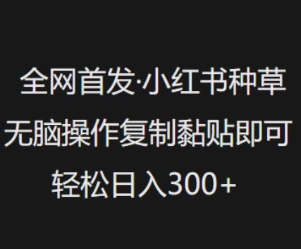 全网首发，小红书种草无脑操作，复制黏贴即可，轻松日入3张-新时光资源网