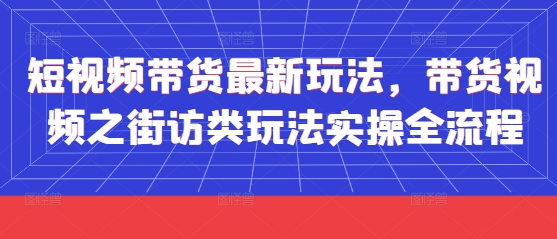 短视频带货最新玩法，带货视频之街访类玩法实操全流程-新时光资源网