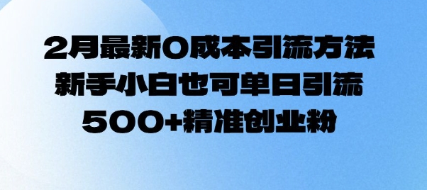 2月最新0成本引流方法，新手小白也可单日引流500+精准创业粉-新时光资源网