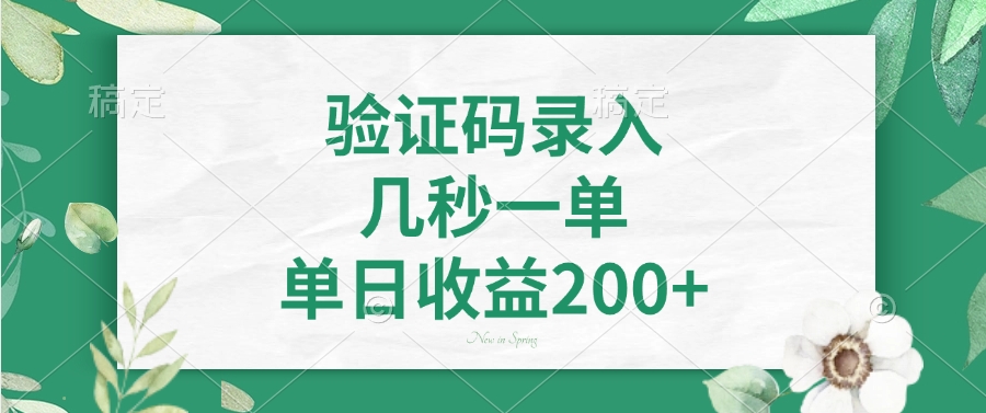 验证码录入，几秒一单，单日收益200+-新时光资源网