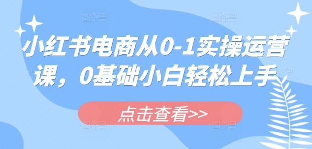 小红书电商从0-1实操运营课，0基础小白轻松上手-新时光资源网