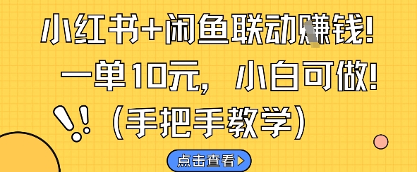小红书+闲鱼联动挣钱，一单10元，小白可做-新时光资源网