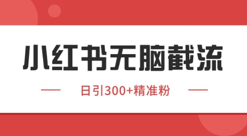 小红书截流同行客源，独家野路子获客玩法 日引200+暴力获客【揭秘】-新时光资源网