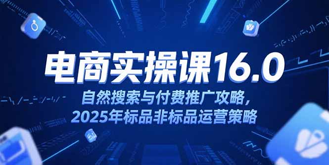 淘宝电商运营课16.0，自然搜索与付费推广攻略，2025年标品非标品运营策略-新时光资源网