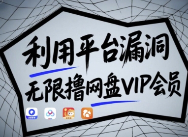 利用平台漏洞，无限撸网盘VIP会员，用户亲测有效!【漏洞原理+操作演示】-新时光资源网
