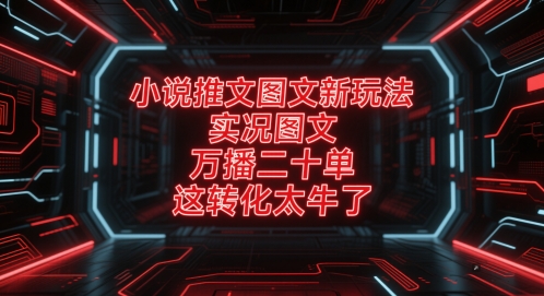 小说推文图文新玩法，实况图文，万播二十单，这转化太牛了！-新时光资源网