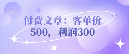 付费文章：客单价500，利润300-新时光资源网