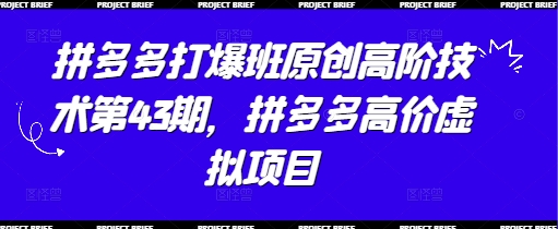 拼多多打爆班原创高阶技术第43期，拼多多高价虚拟项目-新时光资源网