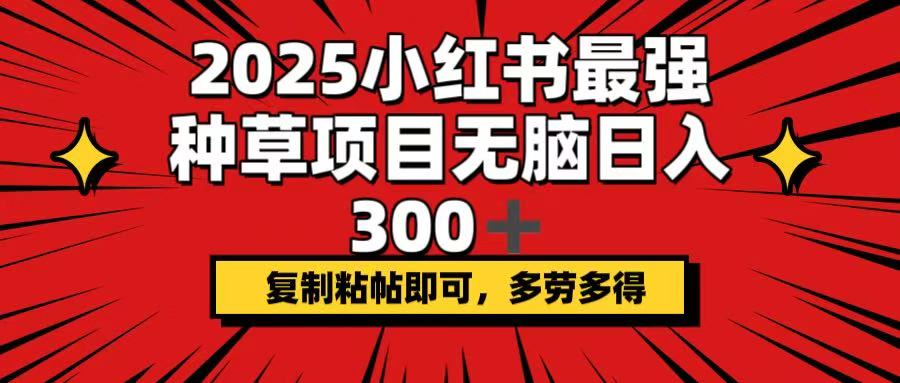 2025小红书最强种草项目，无脑日入300+，复制粘帖即可，多劳多得-新时光资源网