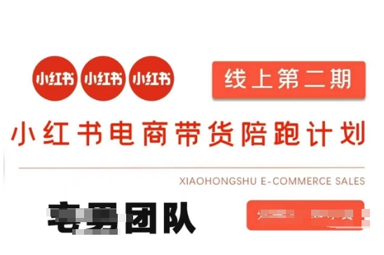 小红书电商带货课2期，月利润20个的小红书电商的有货源，无货源，虚拟产品，付费投流等整套玩法-新时光资源网
