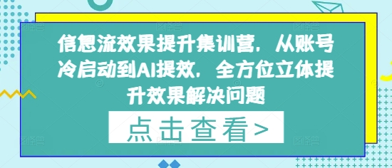 信息流效果提升集训营，从账号冷启动到AI提效，全方位立体提升效果解决问题-新时光资源网