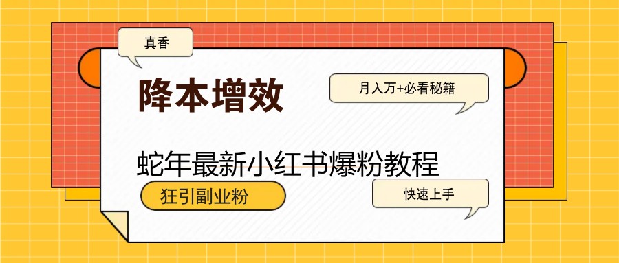 蛇年最新小红书爆粉教程，狂引副业粉，月入万+必看-新时光资源网