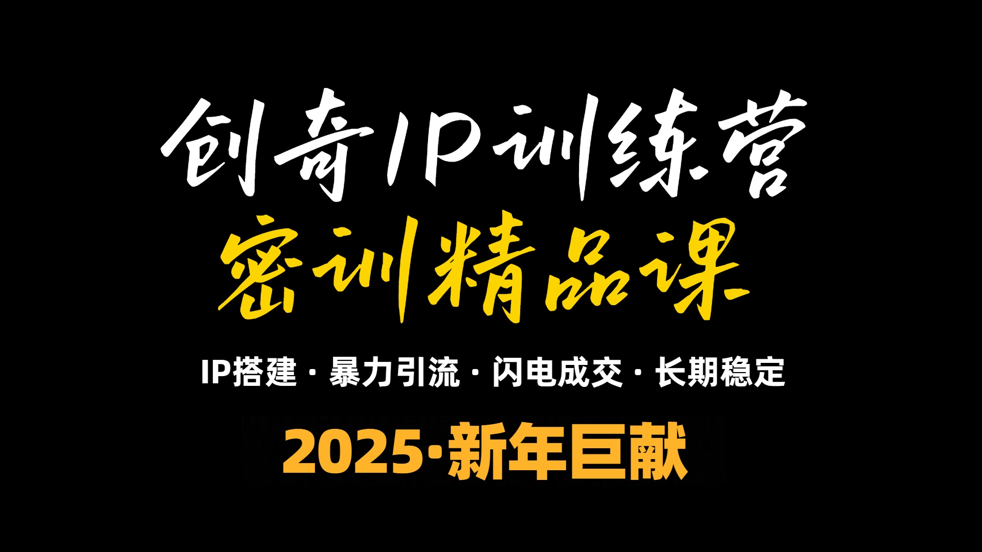 2025年“知识付费IP训练营”小白避坑年赚百万，暴力引流，闪电成交-新时光资源网