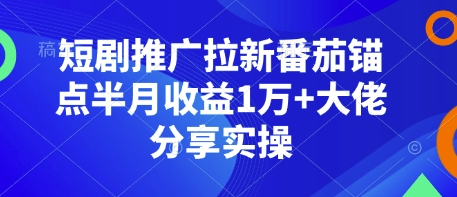 短剧推广拉新番茄锚点半月收益1万+大佬分享实操-新时光资源网