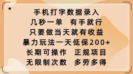 手机打字数据录入，几秒一单，有手就行，只要做当天就有收益，暴力玩法一天低保2张-新时光资源网