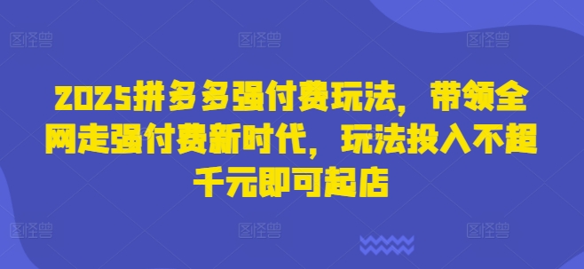 2025拼多多强付费玩法，带领全网走强付费新时代，玩法投入不超千元即可起店-新时光资源网