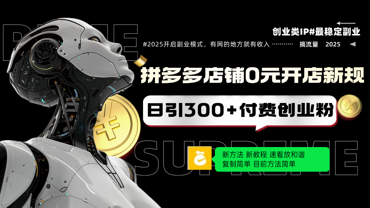 拼多多店铺0元开店新规，日引300+付费创业粉，目前方法简单复制粘贴可矩阵-新时光资源网