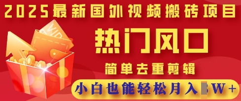 2025最新视频搬砖项目，热门风口，简单去重剪辑，小白也能轻松月入过W-新时光资源网