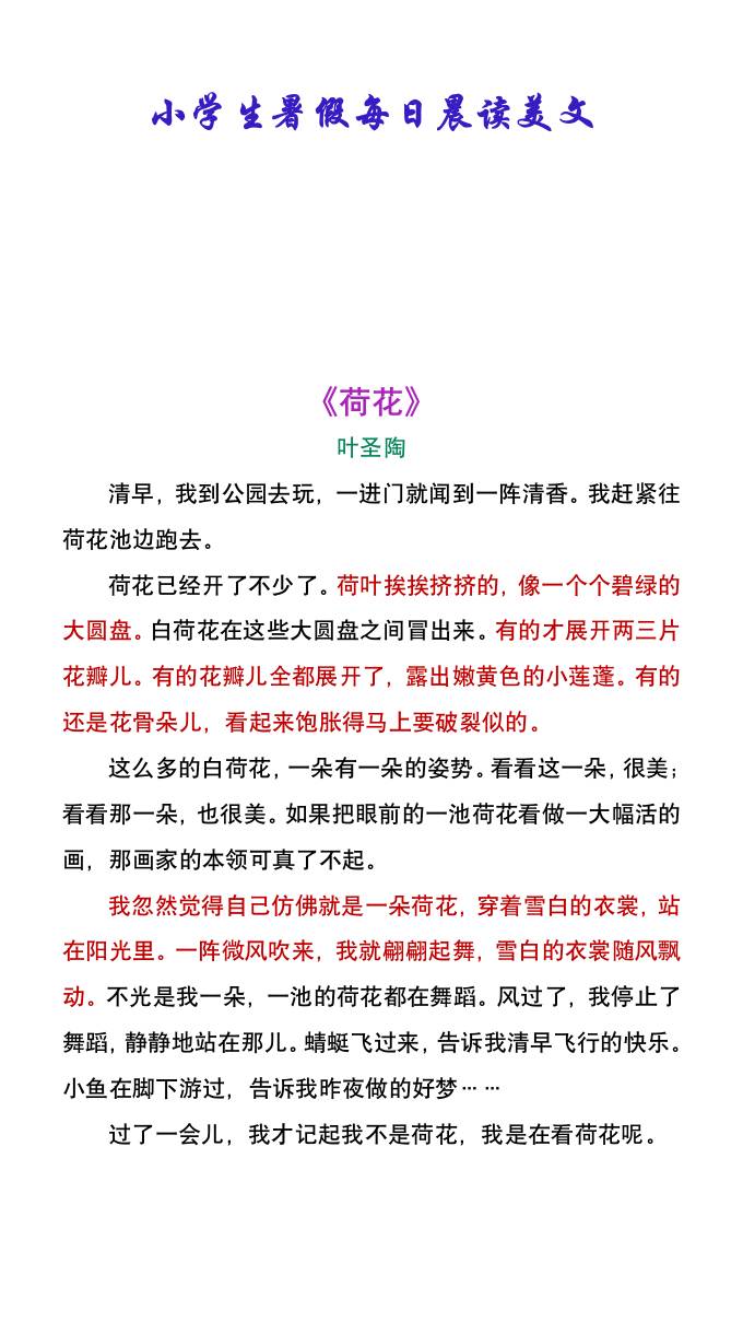 小学生暑假每日晨读美文：叶圣陶《荷花》-小升初语文-新时光资源网